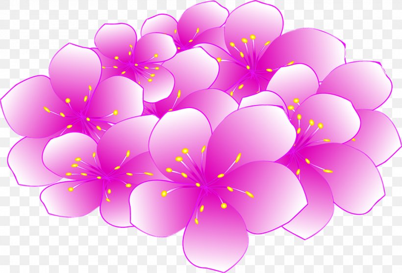 Cherry Blossom Clip Art, PNG, 960x652px, Cherry Blossom, Blossom, Floral Design, Flower, Flowering Plant Download Free