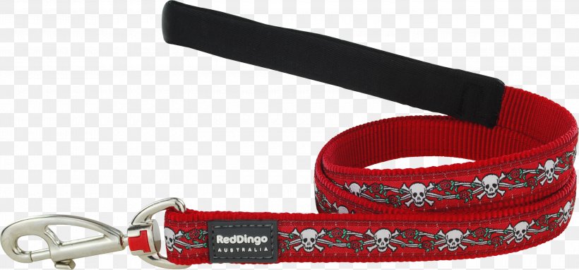 Leash Dog Dingo Collar Lead, PNG, 3000x1400px, Leash, Collar, Color, Dingo, Dog Download Free