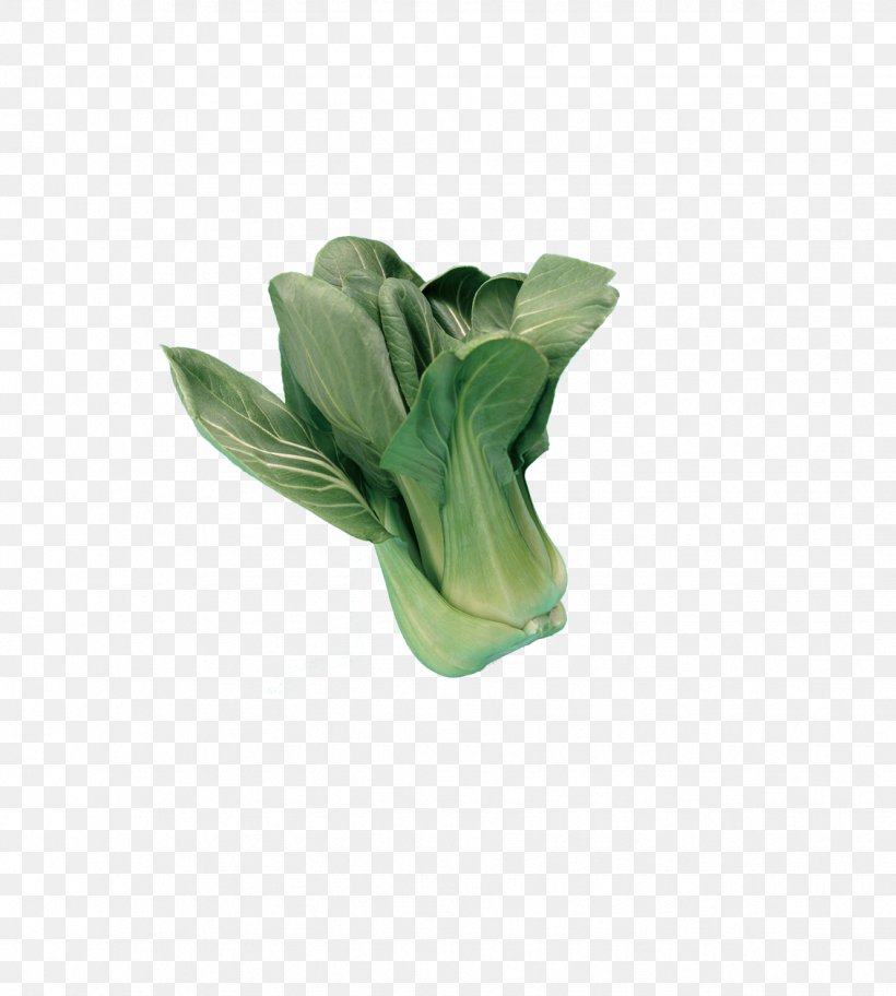 Bok Choy Leaf Vegetable Lettuce, PNG, 1131x1258px, Bok Choy, Capsicum Annuum, Green, Komatsuna, Leaf Download Free