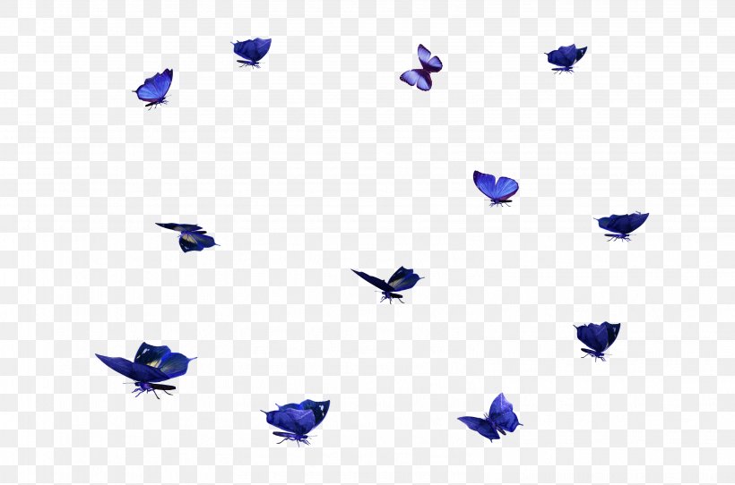 Butterfly Desktop Wallpaper Display Resolution Clip Art, PNG, 3166x2096px, Butterfly, Blue, Body Jewelry, Coreldraw, Display Resolution Download Free
