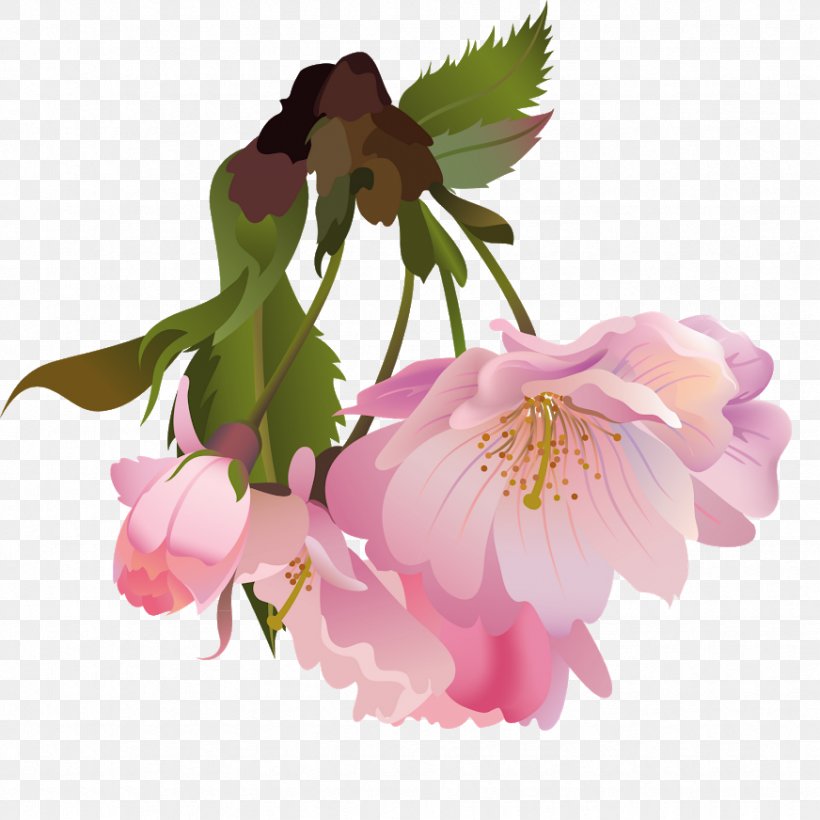 Flower Photography Clip Art, PNG, 872x872px, Flower, Blossom, Branch, Cherry Blossom, Color Download Free
