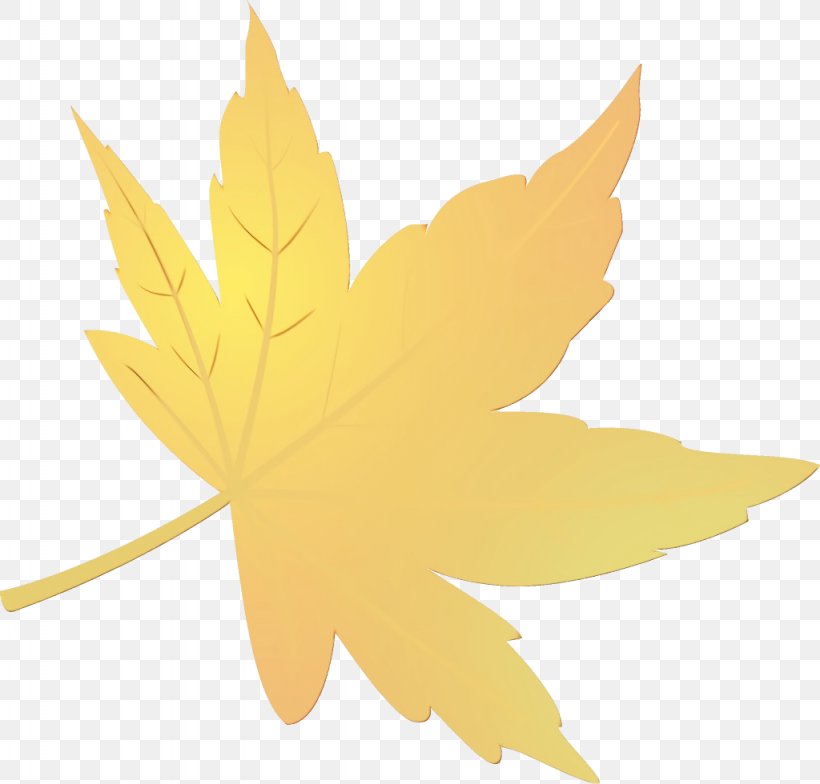 Maple Leaf, PNG, 1024x980px, Watercolor, Leaf, Maple, Maple Leaf, Paint Download Free