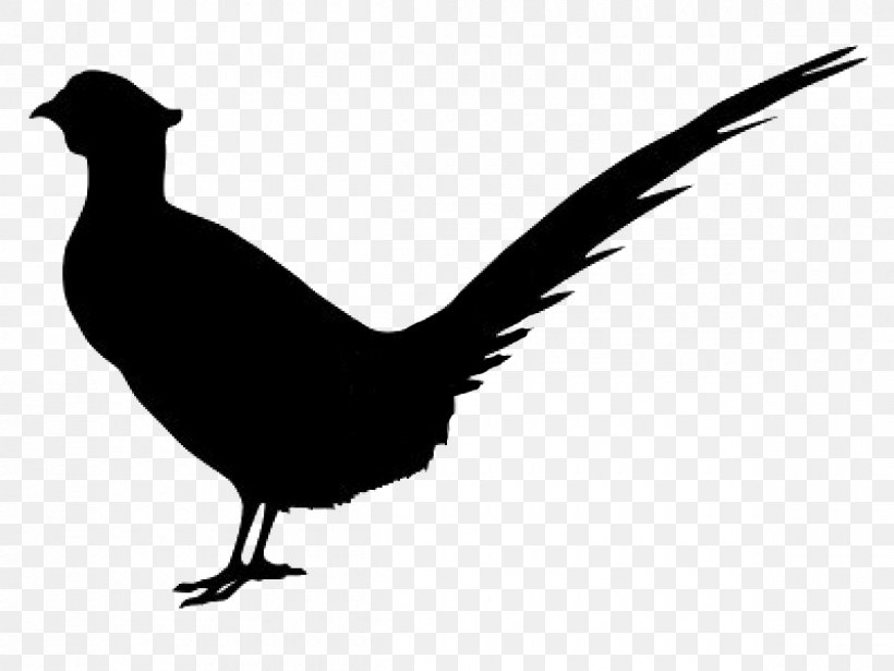 Pheasant Silhouette, PNG, 1200x900px, Pheasant, Beak, Bird, Black And White, Chicken Download Free