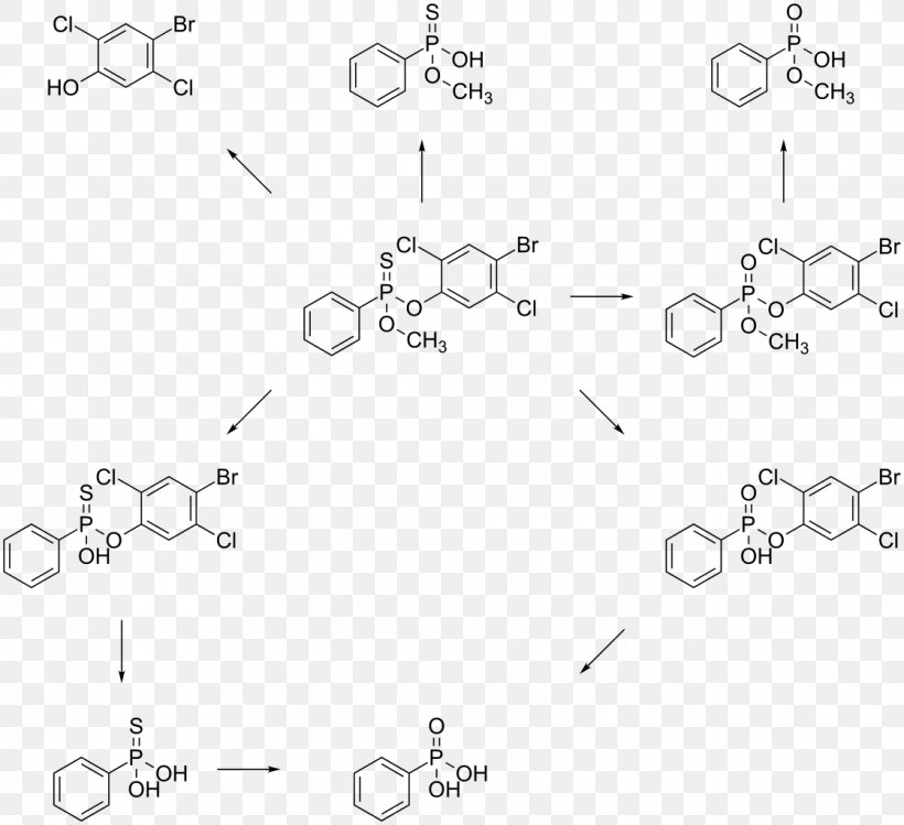 Cinnamaldehyde Cinnamic Acid Anthocyanin Leptophos Pyrylium Salt, PNG, 1120x1024px, Cinnamaldehyde, Anthocyanin, Aqueous Solution, Area, Benzaldehyde Download Free