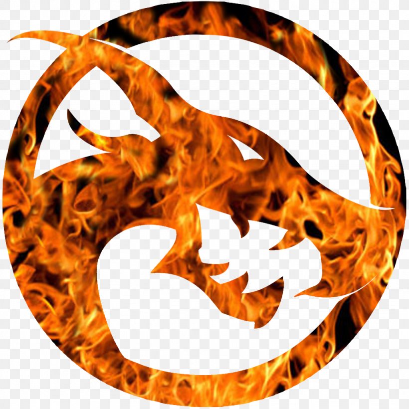 Flame Symbol Font, PNG, 1024x1024px, Flame, Orange, Symbol Download Free