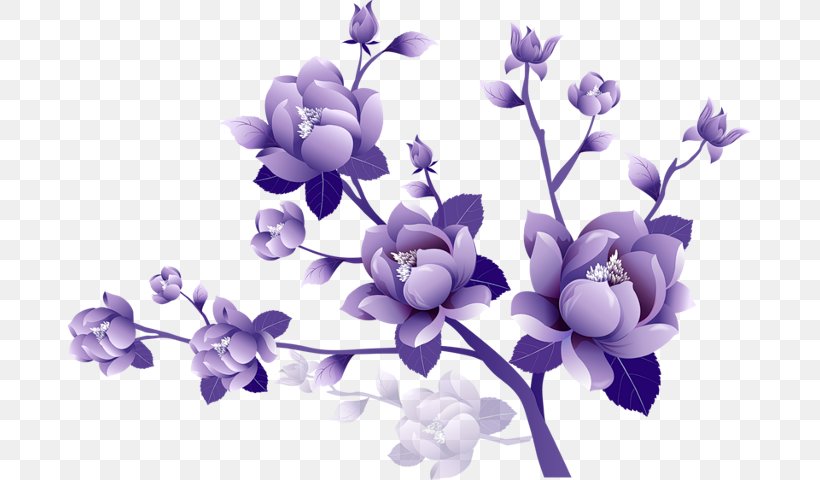Flower Purple Floral Design Clip Art, PNG, 683x480px, Flower, Art, Blossom, Branch, Color Download Free