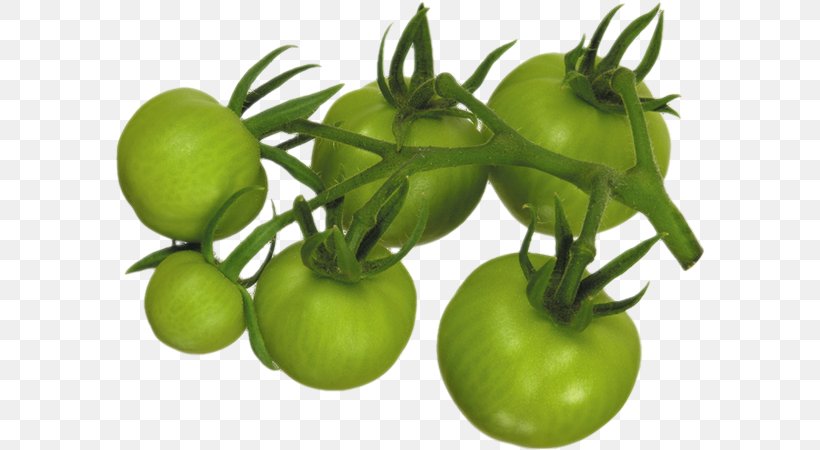 Fried Green Tomatoes Vegetable Marinara Sauce Pumpkin Tomato, PNG, 590x450px, Tomato, Bush Tomato, Condiment, Cooking, Extract Download Free