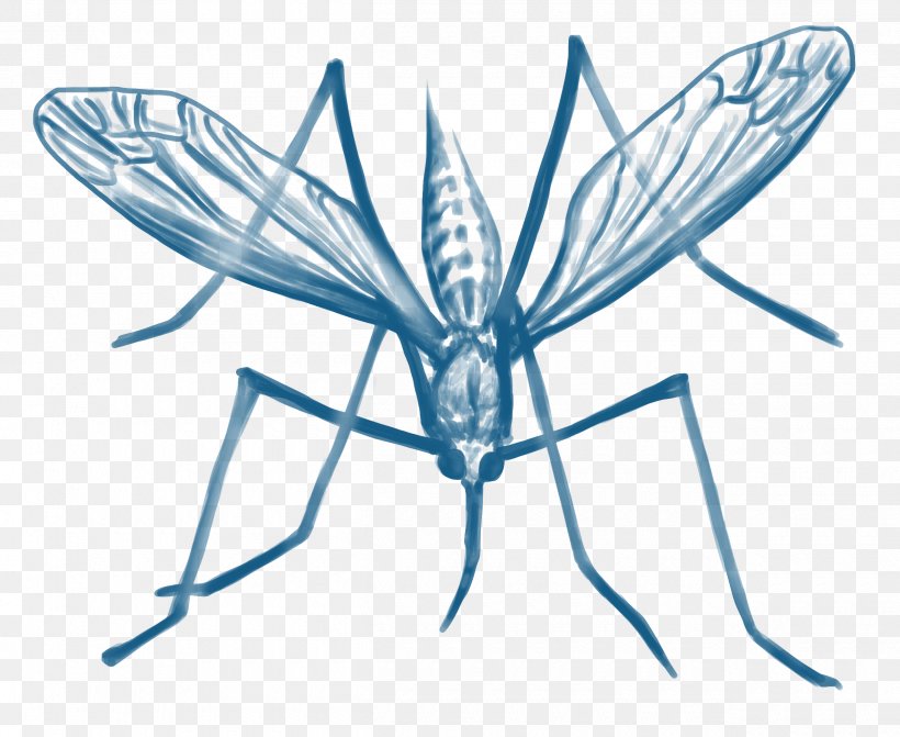 Mosquito Control Malaria Insect Disease, PNG, 2520x2064px, Mosquito, Arthropod, Artwork, Black And White, Cause Of Death Download Free