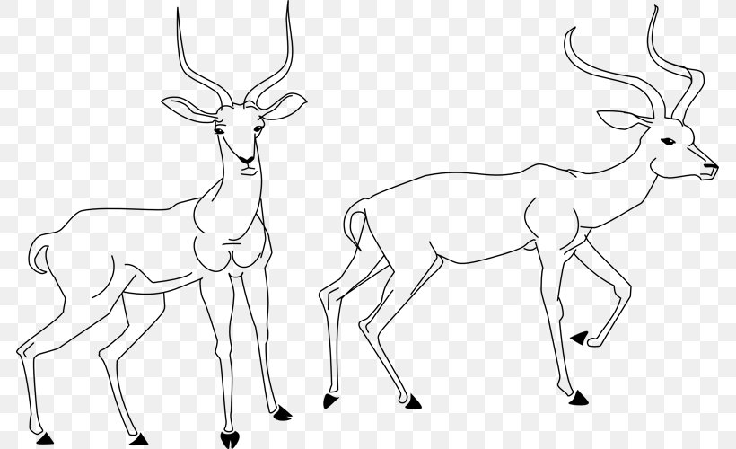 Reindeer Antelope Drawing Line Art Clip Art, PNG, 783x500px, Reindeer, Antelope, Antler, Artwork, Black And White Download Free