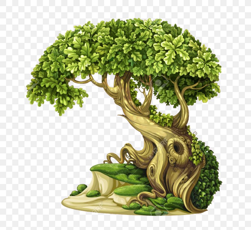 Tree Oak, PNG, 751x750px, Tree, Bonsai, Drawing, Flowerpot, Grass Download Free