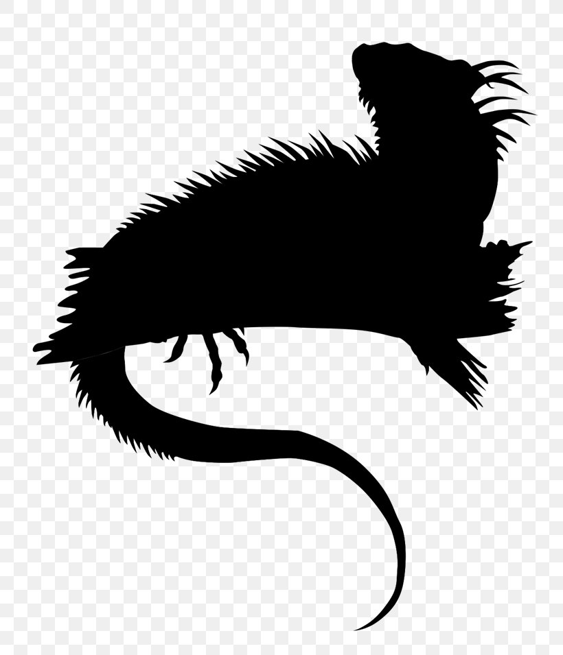 Carnivores Clip Art Character Silhouette Beak, PNG, 800x955px, Carnivores, Beak, Black M, Character, Claw Manufacturing Clawm Download Free