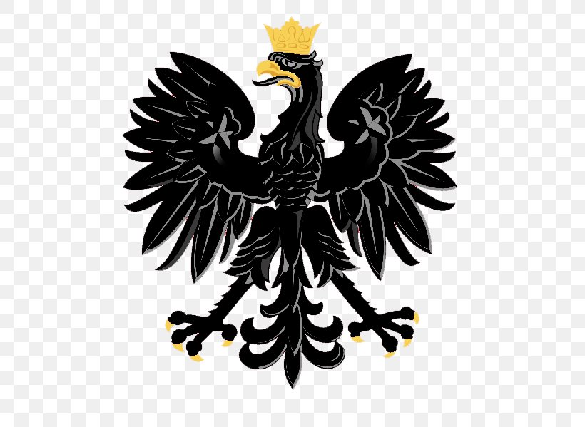 Coat Of Arms Of Poland Eagle T-shirt Flag, PNG, 509x599px, Poland, Beak, Bird, Bird Of Prey, Chicken Download Free