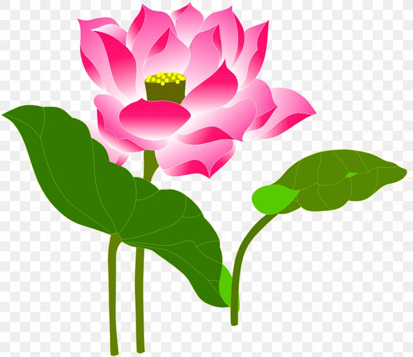 Drawing Art Nelumbo Nucifera, PNG, 1000x866px, Drawing, Annual Plant, Aquatic Plant, Art, Cut Flowers Download Free