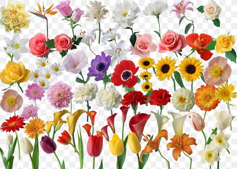 Flower Computer File, PNG, 1400x1000px, Flower, Annual Plant, Computer Graphics, Cut Flowers, Floral Design Download Free