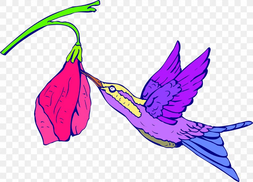 Hummingbird Royalty-free Clip Art, PNG, 1200x864px, Hummingbird, Beak, Bird, Drawing, Feather Download Free