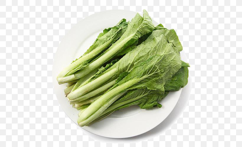 Romaine Lettuce Kale Vegetable Cabbage, PNG, 500x500px, Choy Sum, Bok Choy, Cabbage, Celtuce, Chard Download Free