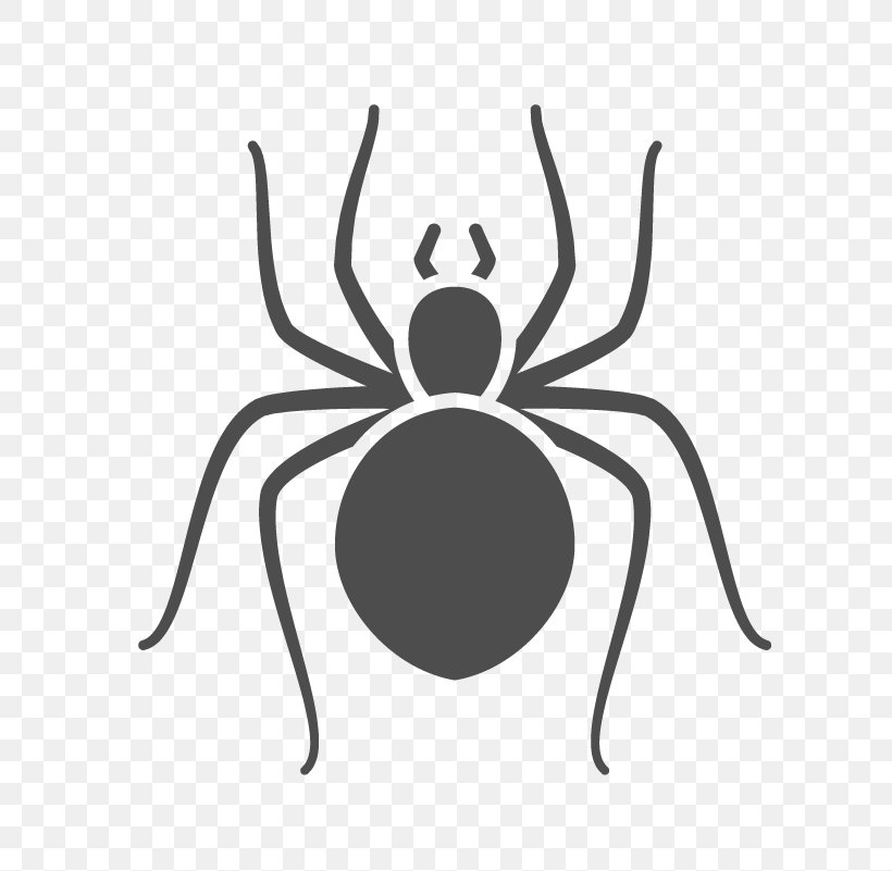 Cartoon Spider, PNG, 801x801px, Insect, Arachnid, Araneus, Bed Bug Bite, Cockroach Download Free