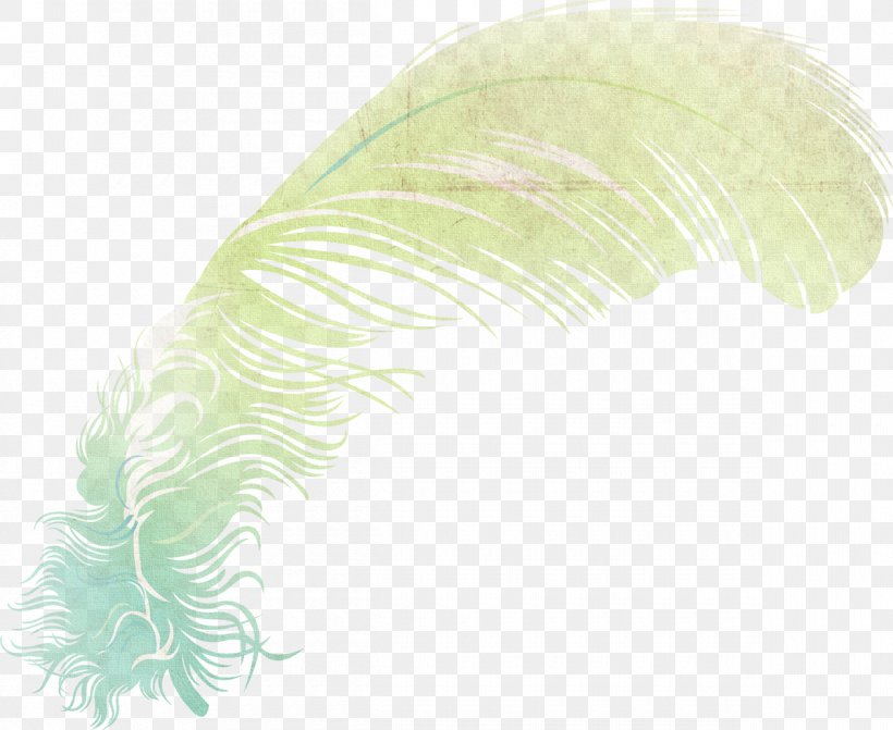 Feather Leaf, PNG, 1200x982px, Feather, Green, Leaf, Organism, Quill Download Free