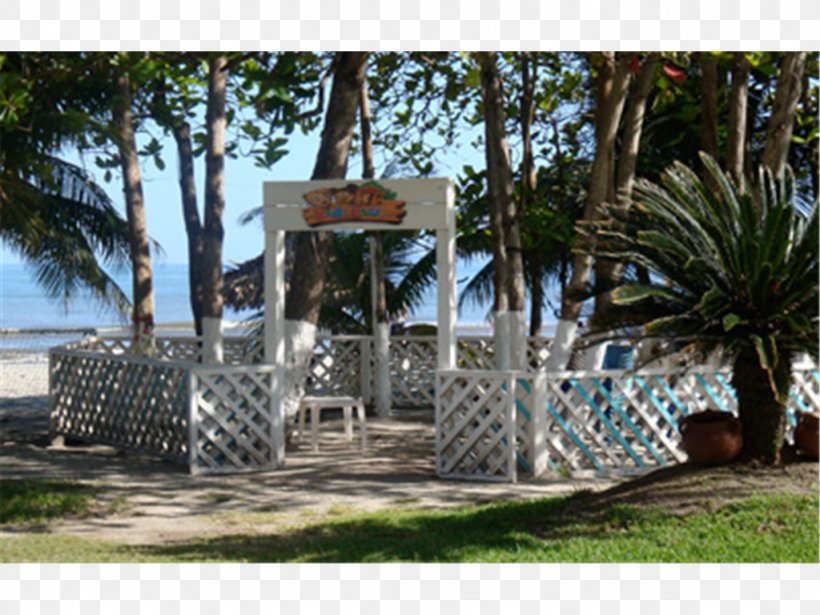 La Ceiba Coxen Hole Caribbean Resort Hotel, PNG, 1024x768px, 3 Star, La Ceiba, Accommodation, Allinclusive Resort, Arecaceae Download Free