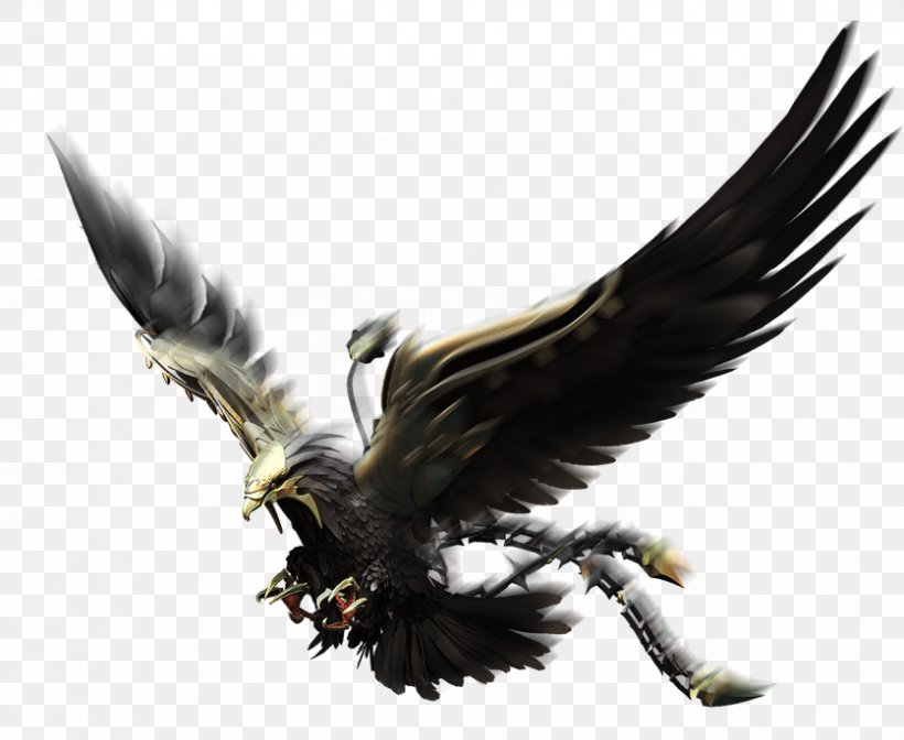 Bald Eagle Vulture Beak Feather, PNG, 836x686px, Bald Eagle, Accipitriformes, Beak, Bird, Bird Of Prey Download Free