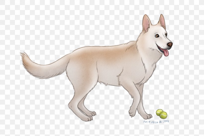 Dog Breed Canaan Dog Siberian Husky, PNG, 900x600px, Dog Breed, Breed, Canaan Dog, Carnivoran, Dog Download Free