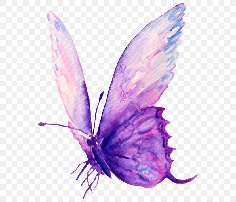 Femininity Intuition Woman Moth Wisdom, PNG, 600x701px, Femininity, Arthropod, Butterfly, Female, Insect Download Free