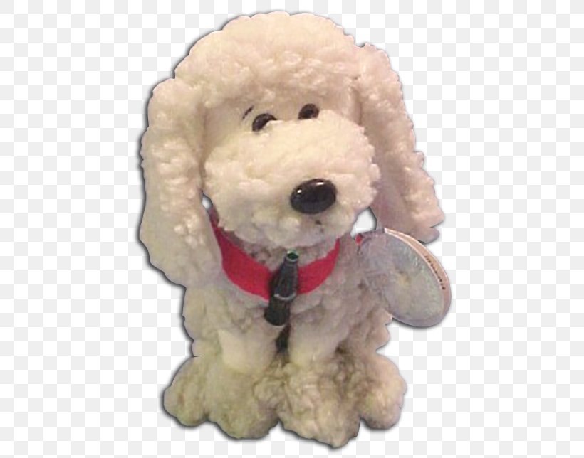 Standard Poodle Toy Poodle Miniature Poodle Cockapoo Puppy, PNG, 500x644px, Standard Poodle, Carnivoran, Cocacola, Cockapoo, Companion Dog Download Free