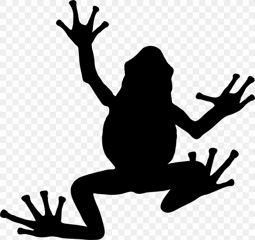Tree Frog Silhouette Toad, PNG, 2344x2214px, Frog, Amphibian, Animal, Artwork, Black Download Free