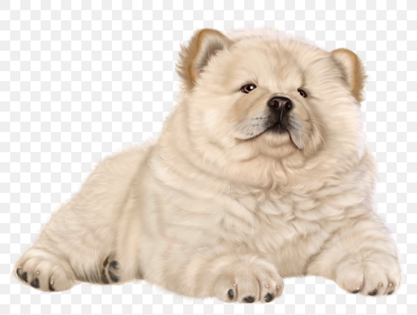 Chow Chow Puppy Clip Art, PNG, 800x621px, Chow Chow, Carnivoran, Child, Companion Dog, Data Compression Download Free
