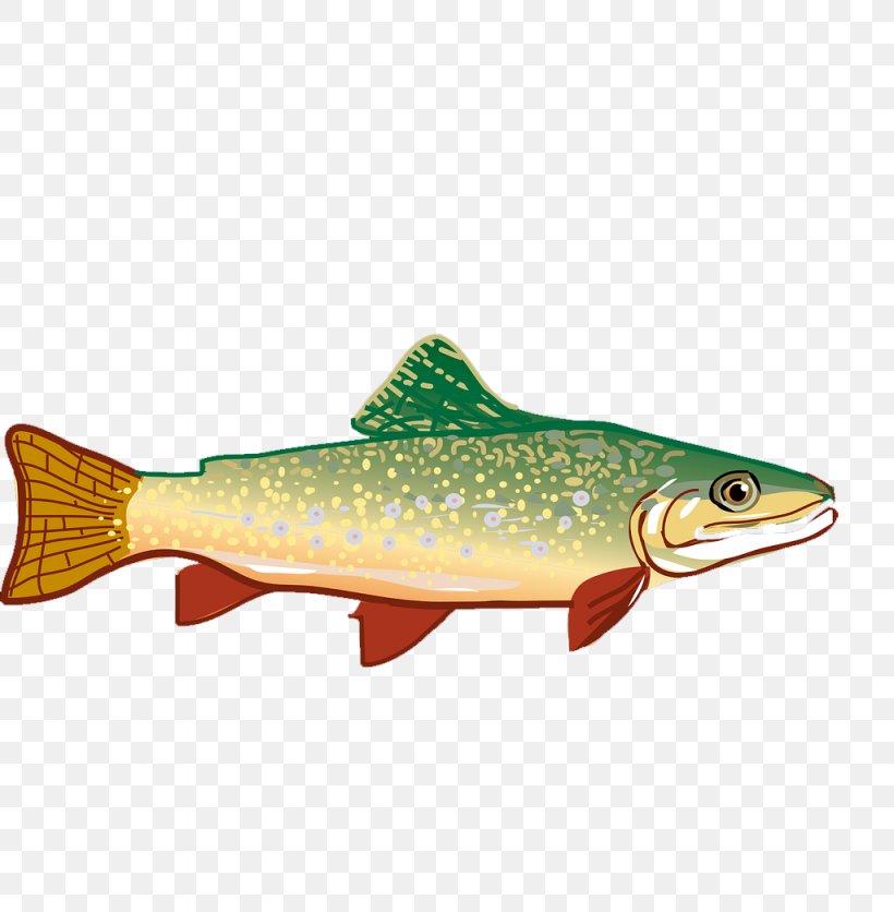 Rainbow Trout Clip Art, PNG, 1024x1045px, Trout, Bony Fish, Brown Trout, Cutthroat Trout, Drawing Download Free