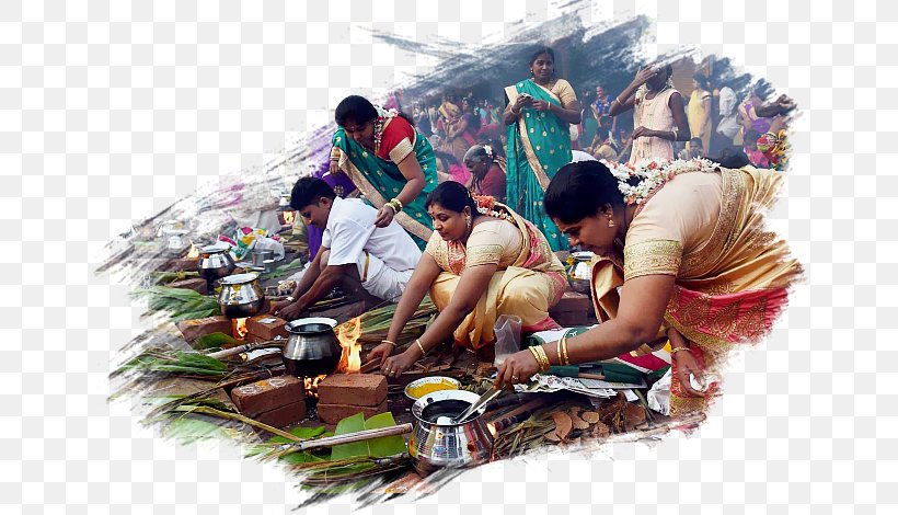 Thai Pongal Pongala Sinhalese New Year, PNG, 670x470px, Thai Pongal, Christmas And Holiday Season, Festival, Harvest, New Year Download Free