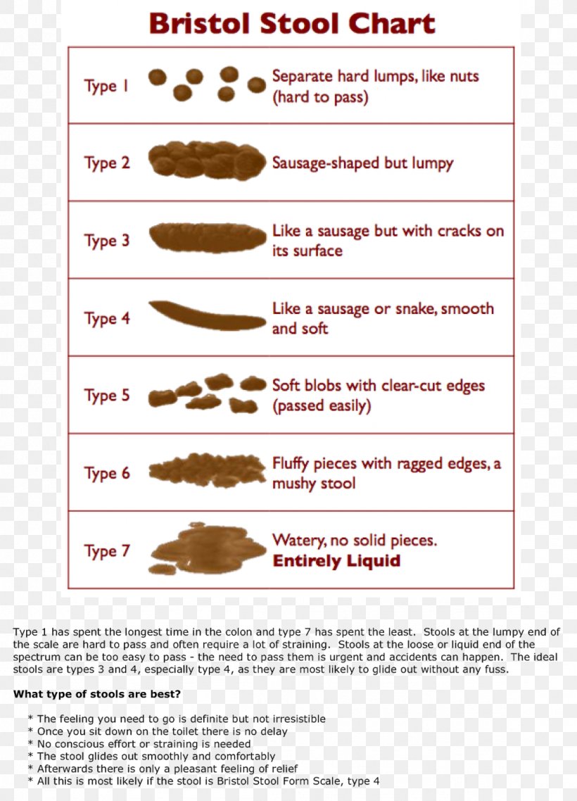 Bristol Stool Scale Human Feces Fecal Incontinence Health, PNG, 1152x1600px, Bristol Stool Scale, Area, Constipation, Defecation, Diarrhea Download Free