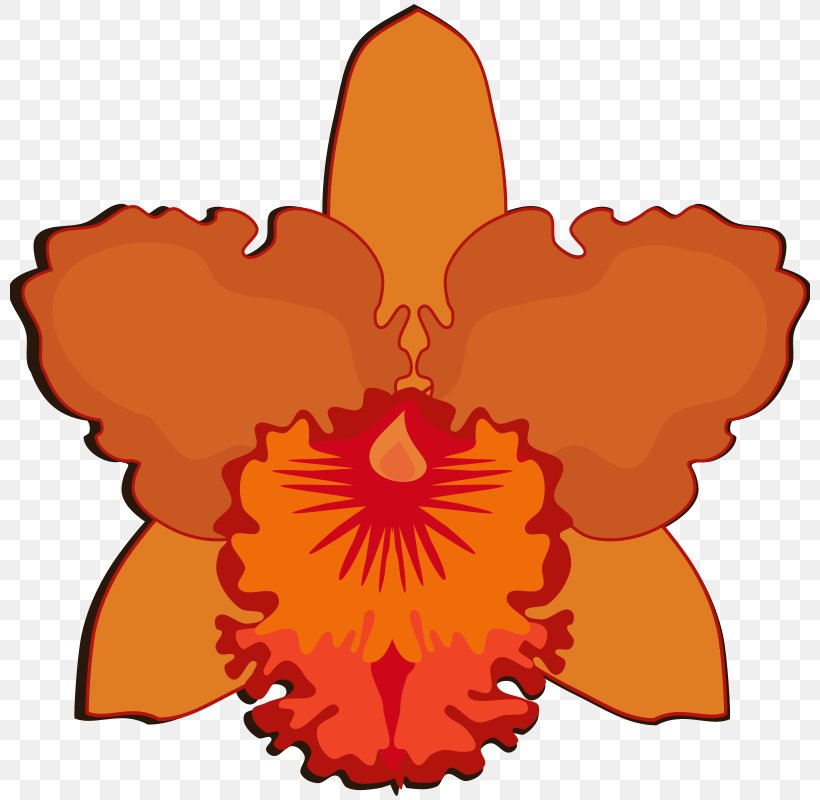 Clip Art Flowering Plant Drawing Cattleya Bicolor Cattleya Walkeriana, PNG, 800x800px, Flowering Plant, Artwork, Cattleya Bicolor, Cattleya Orchids, Cattleya Walkeriana Download Free