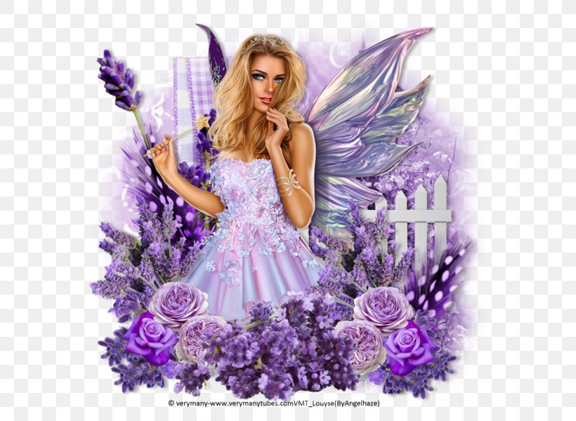 Fantasia Calanthe Rosea Magic Galéria Web Page, PNG, 600x600px, Fantasia, Angel, Biscuits, Calanthe, Fairy Download Free