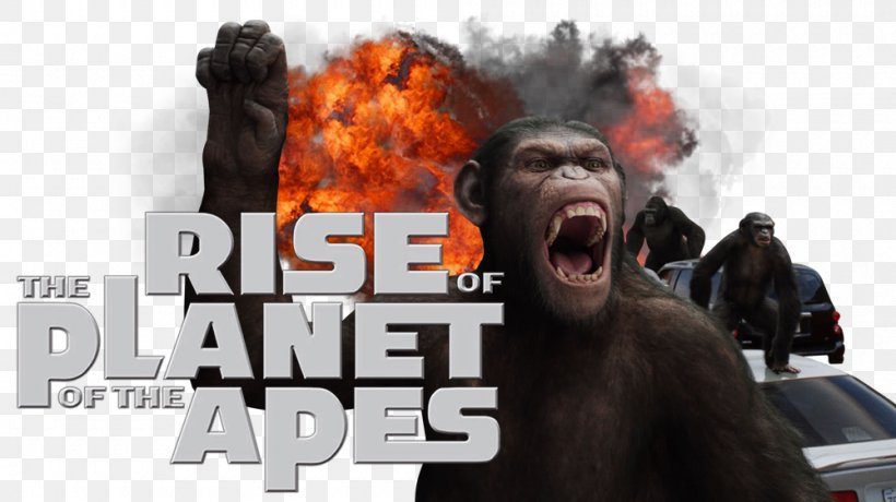 Planet Of The Apes 0 Television Film, PNG, 1000x562px, 2011, Planet Of The Apes, Facial Hair, Fan Art, Film Download Free