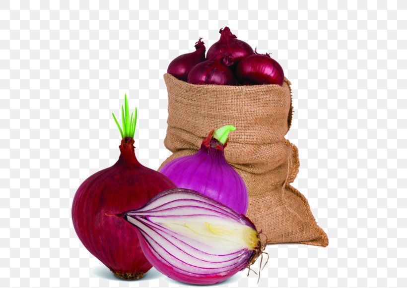Red Onion Shallot Vegetable Garlic Food, PNG, 600x581px, Red Onion, Bag, Capsicum, Cooking, Food Download Free