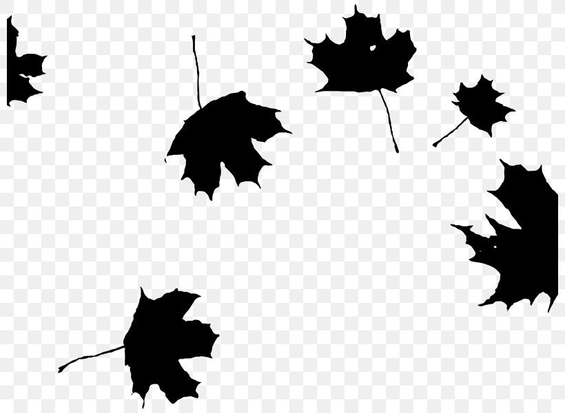 Autumn Leaf Color Maple Leaf Clip Art, PNG, 800x600px, Autumn Leaf Color, Autumn, Black, Black And White, Branch Download Free