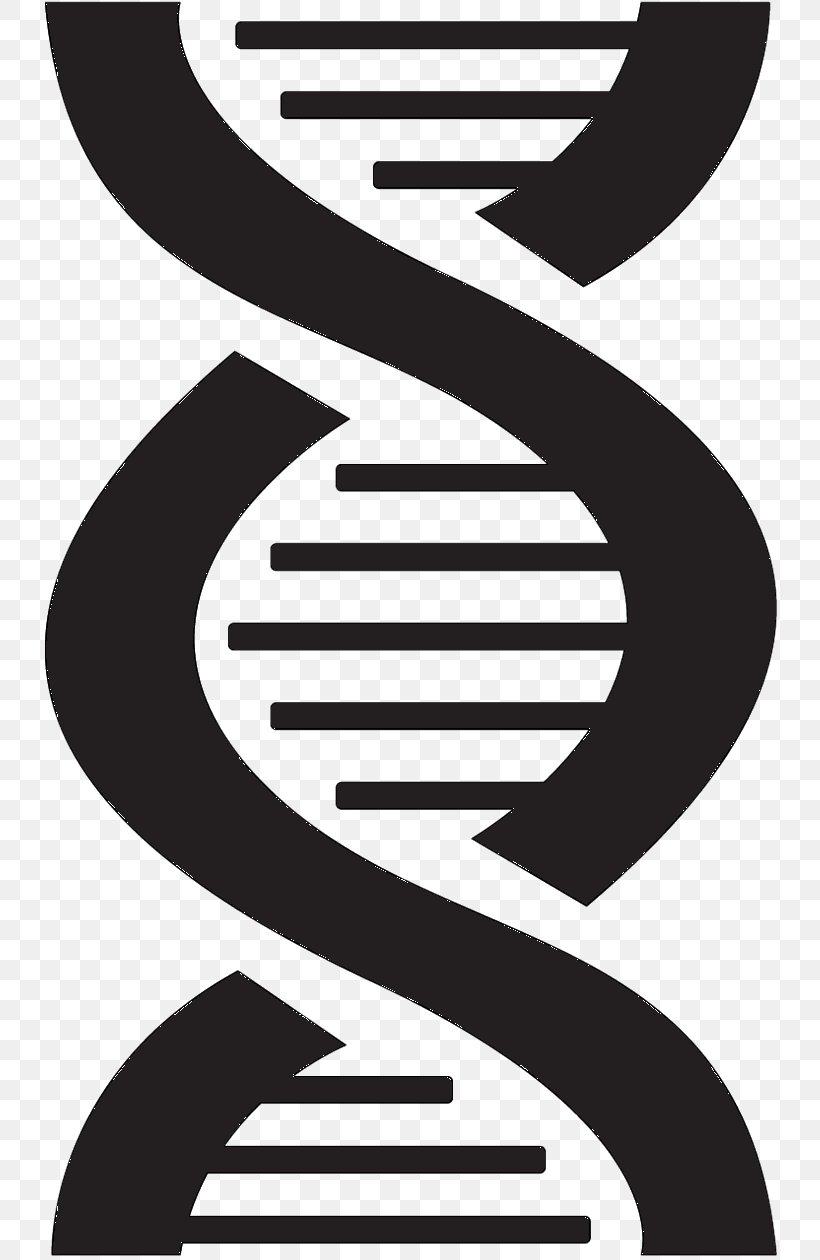 Nucleic Acid Double Helix Backstreet Boys DNA Vector Graphics, PNG, 747x1260px, Helix, Backstreet Boys, Blackandwhite, Dna, Genetics Download Free