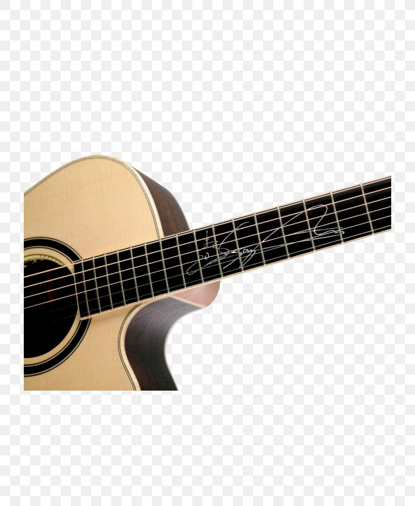 Ukulele Lakewood Guitars Flatpicking Fingerstyle Guitar, PNG, 726x1000px, Watercolor, Cartoon, Flower, Frame, Heart Download Free