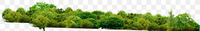 Cartoon Nature Background, PNG, 2002x315px, Shulin District, Biome, Creative Work, Elf, Grass Download Free