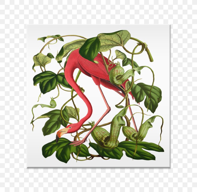 Chili Pepper Flamingo Tote Bag Canvas Print Douchegordijn Fifikoussout, PNG, 800x800px, Chili Pepper, Bell Pepper, Bell Peppers And Chili Peppers, Canvas, Canvas Print Download Free