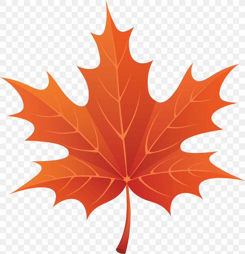 Autumn Leaf Color Clip Art, PNG, 3392x3519px, Red Maple, Autumn, Autumn Leaf Color, Flowering Plant, Leaf Download Free