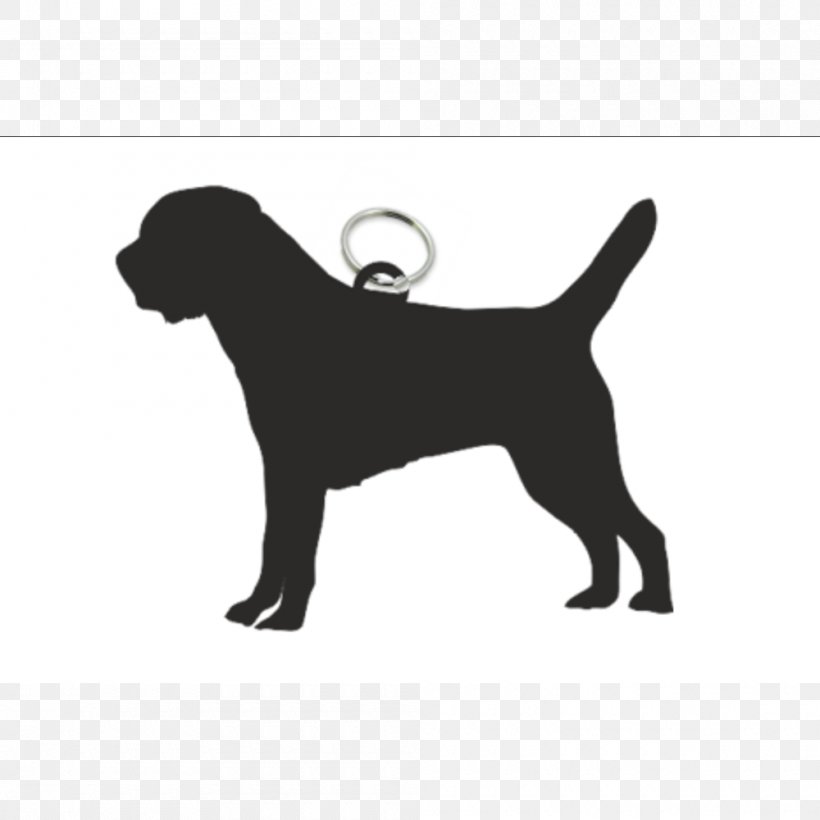 Labrador Retriever Dog Breed Border Terrier Puppy, PNG, 1000x1000px, Labrador Retriever, Black, Border Terrier, Boxer, Breed Download Free