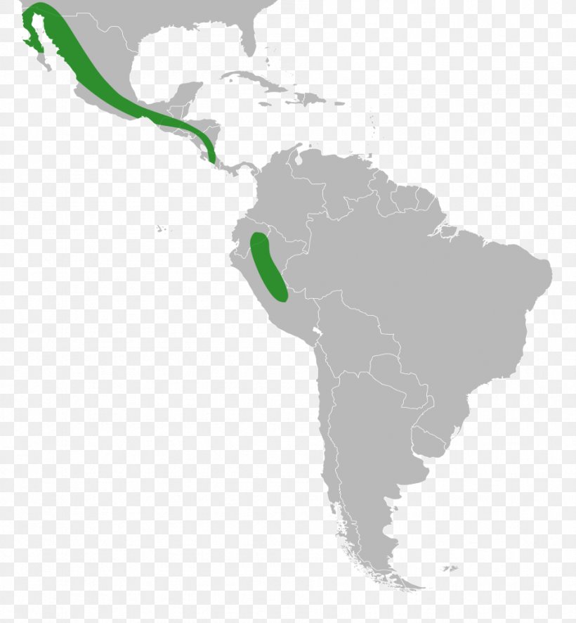 Latin America South America United States Subregion, PNG, 947x1024px, Latin America, Americas, Country, Geography, Green Download Free