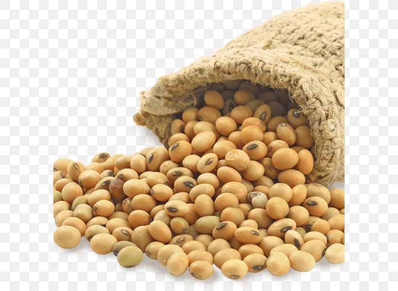 Soybean Meal Vegetarian Cuisine Food Lecithin, PNG, 600x600px, Soybean, Bean, Cereal, Commodity, Essential Amino Acid Download Free
