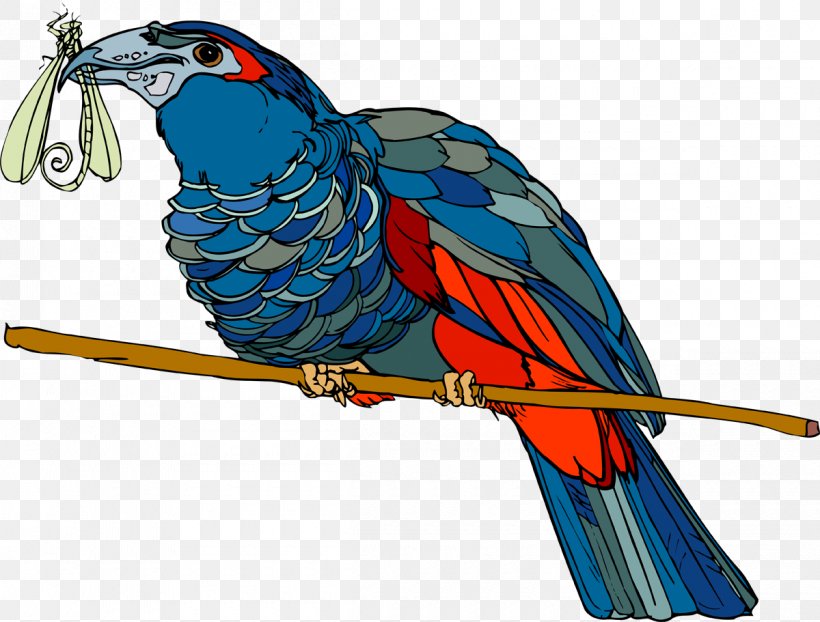 Bird Parrot Beak Feather Macaw, PNG, 1200x911px, Bird, Advertising, Animal, April 18, Beak Download Free