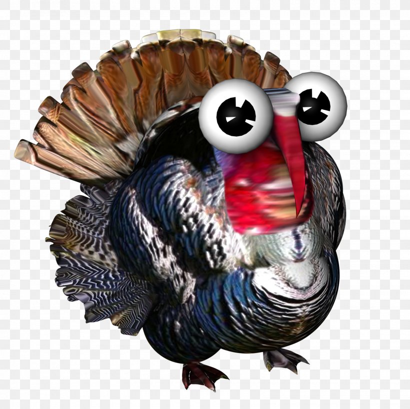 Farmerama Turkey Bigpoint Games Galliformes .de, PNG, 1600x1600px, Farmerama, Animal, Beak, Bigpoint Games, Bird Download Free