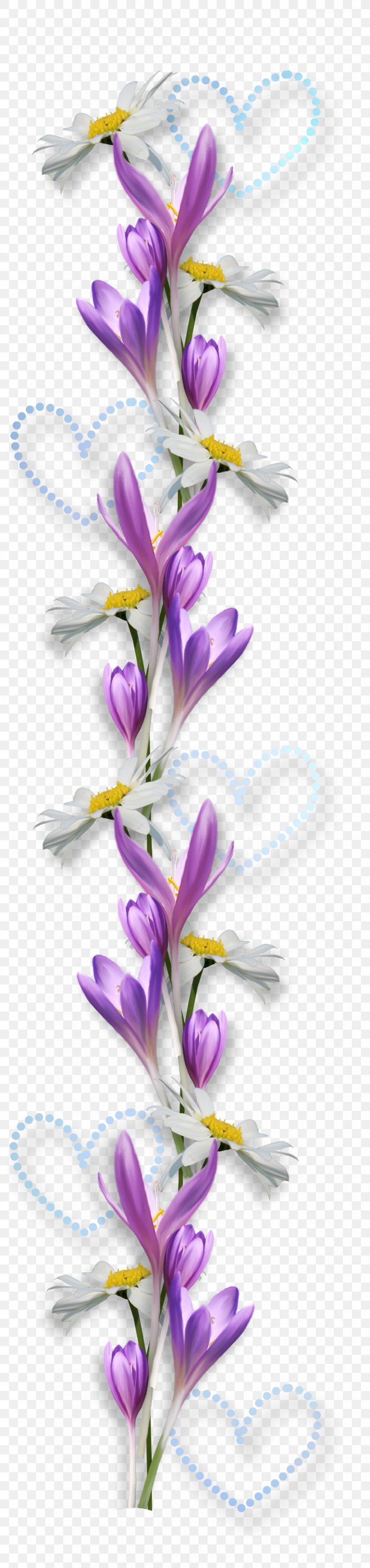 Flower, PNG, 850x3600px, Flower, Cut Flowers, Dendrobium, Flora, Floral Design Download Free