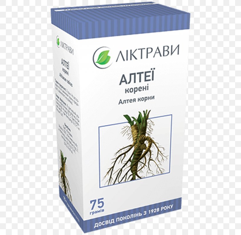 Herbaceous Plant Pharmacy Pharmaceutical Drug Kiev, PNG, 800x800px, Herbaceous Plant, Birch, Drug, Extract, Herb Download Free
