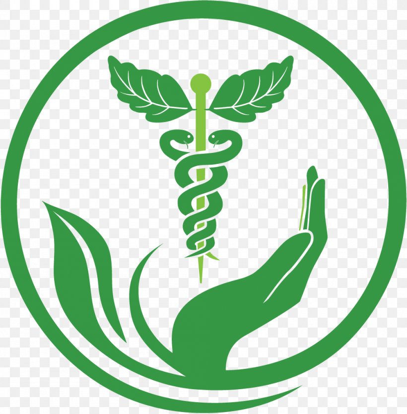 Herbalism Medicine Alternative Health Services Naturopathy, PNG, 1000x1018px, Herbalism, Alternative Health Services, Area, Artwork, Ayurveda Download Free